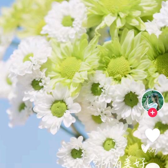 乡下农村的