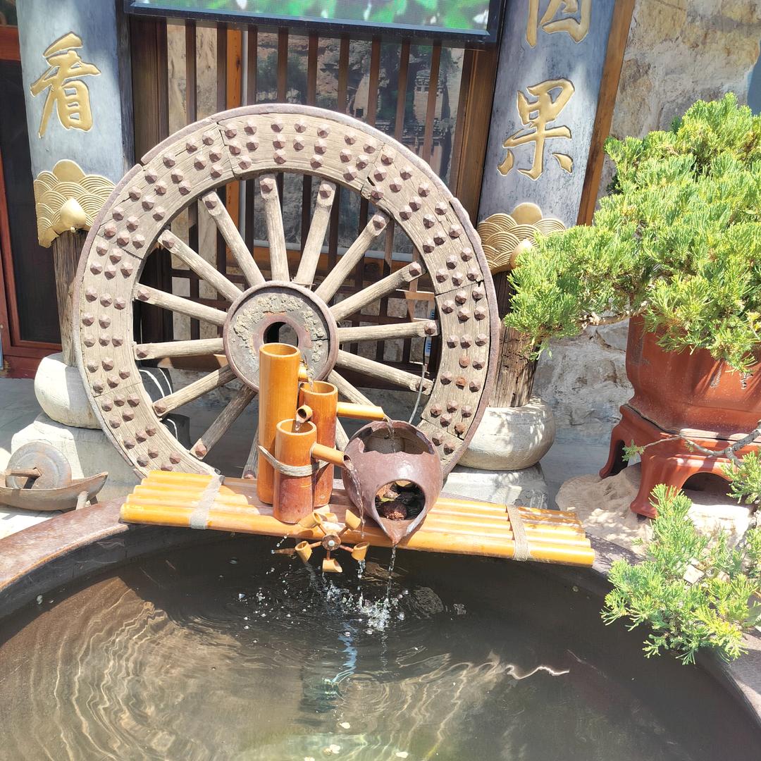 🍁𝗺𝗼𝗿𝗻 花