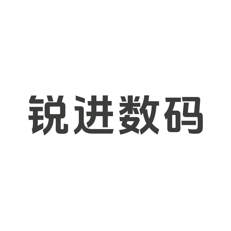 锐进数码专营店