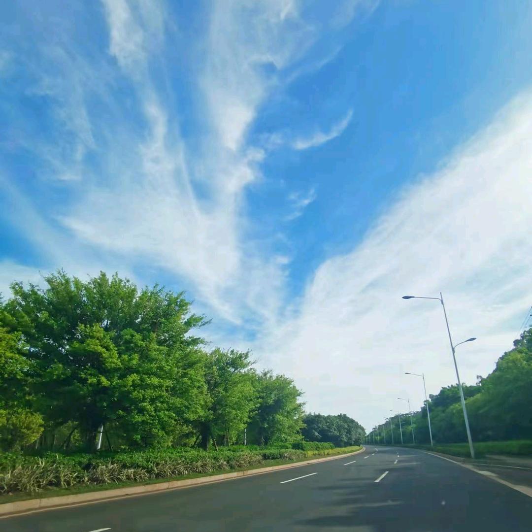 莫哥