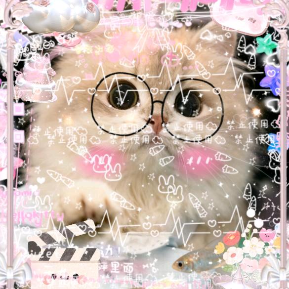 🌸香水有毒🌸୧⍤⃝🌈