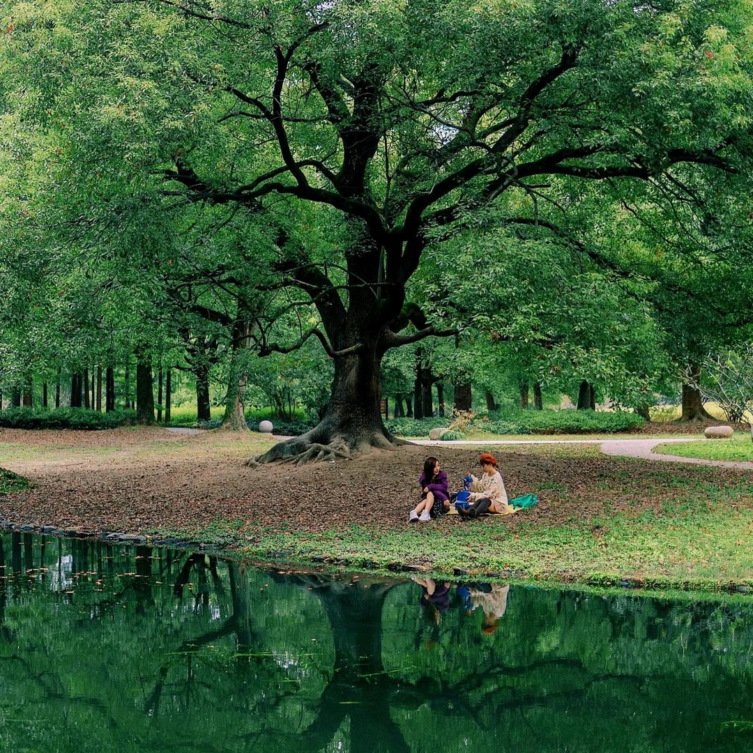 邢铭汐🌱