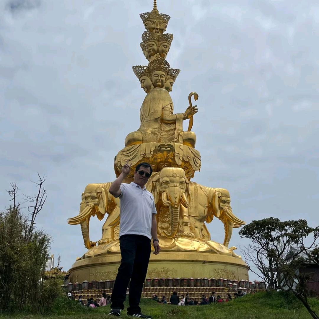 随风而过🌴🌲🐬