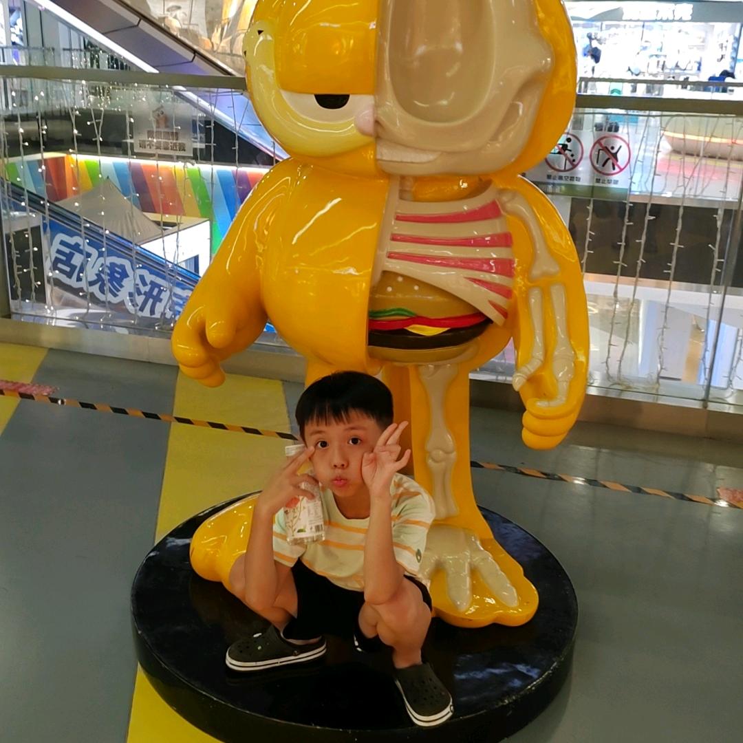 往日回忆🌻
