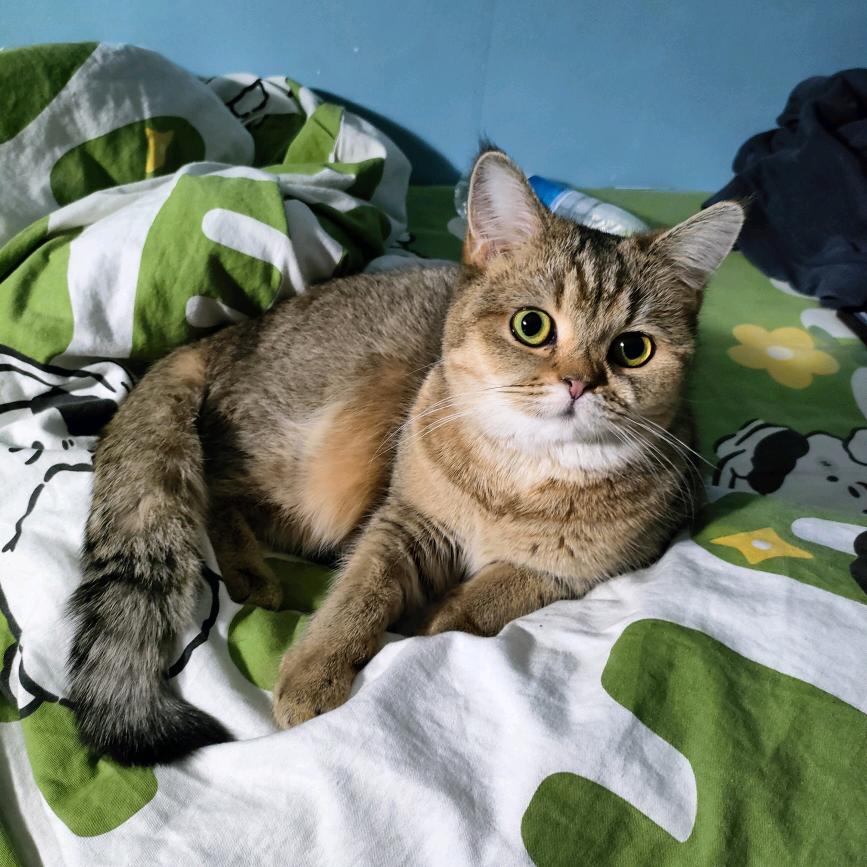 30平画室主理人