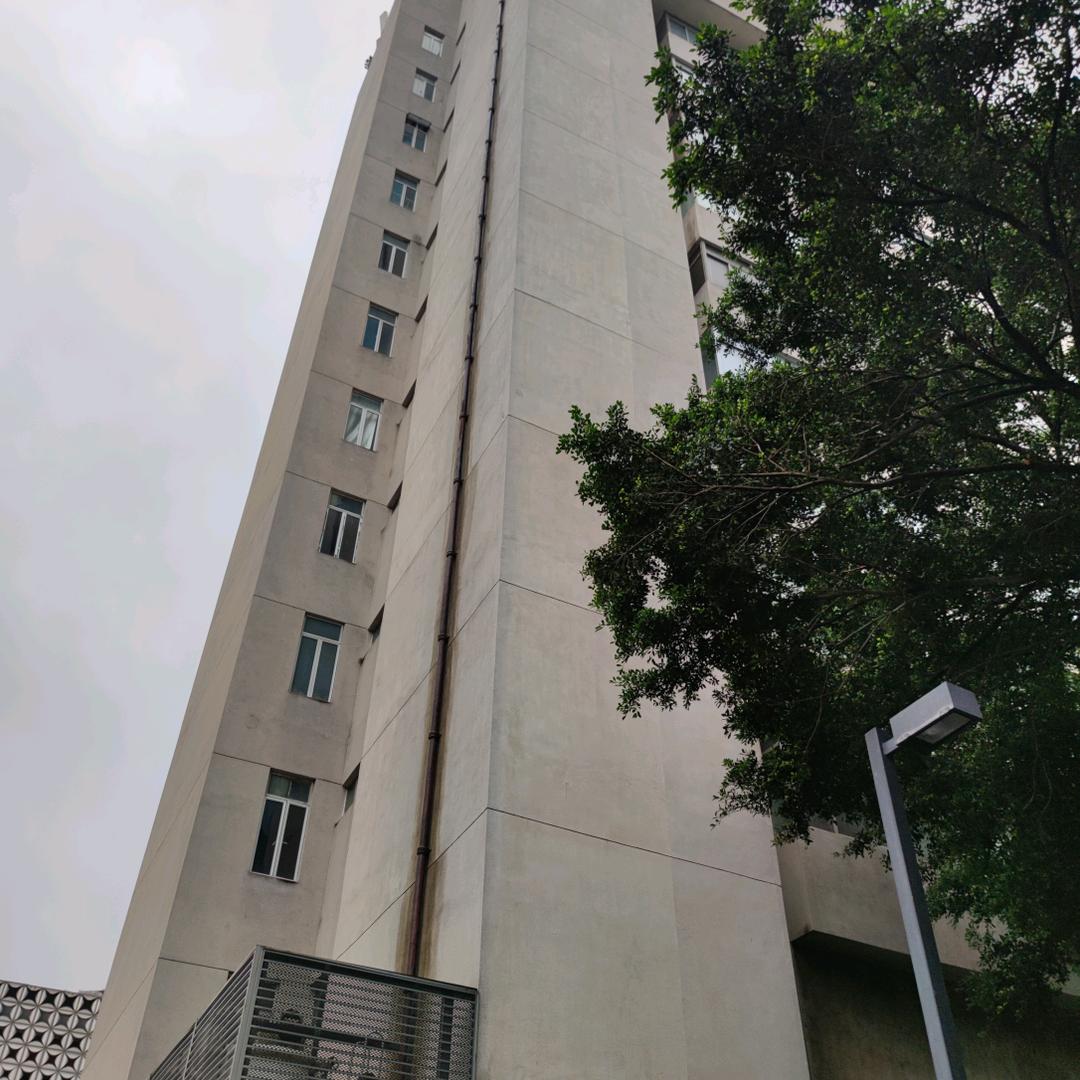 何平头（晴书铁粉）