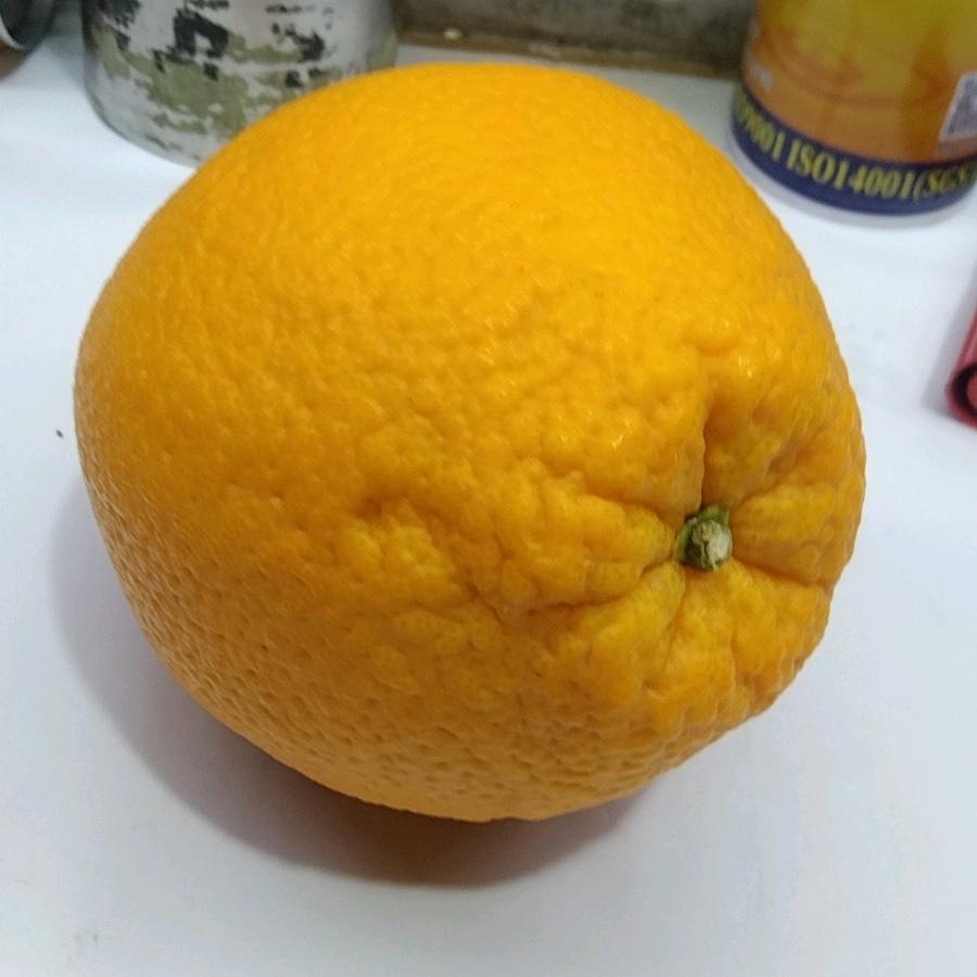 用户9747548831085