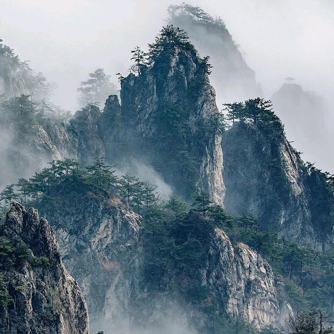 郑在前行