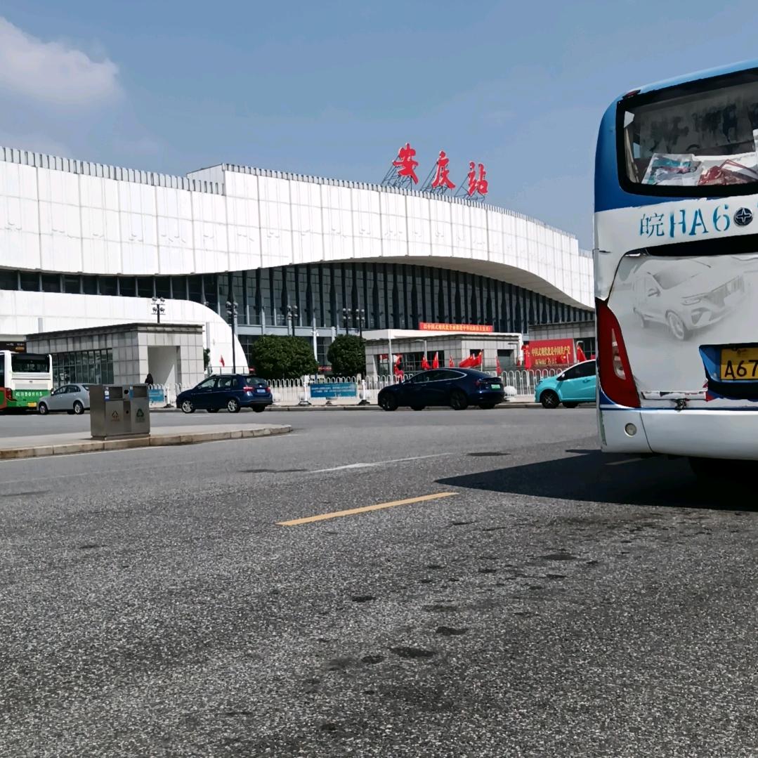 墙头草风不吹也倒