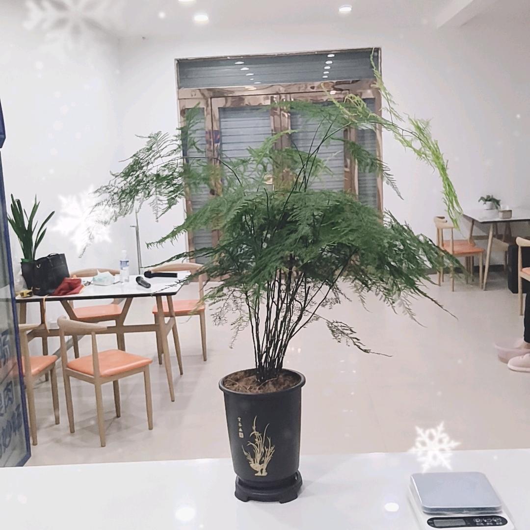 兰朵创艺麻辣烫（古固寨店）