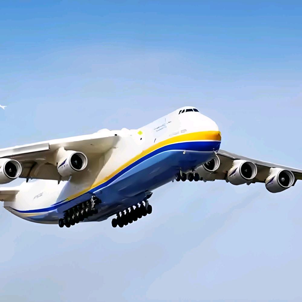 热爱生活的数码人