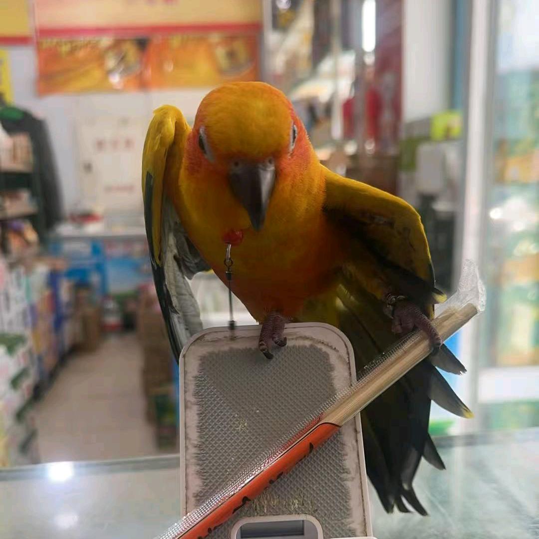 往事如烟~只能回味