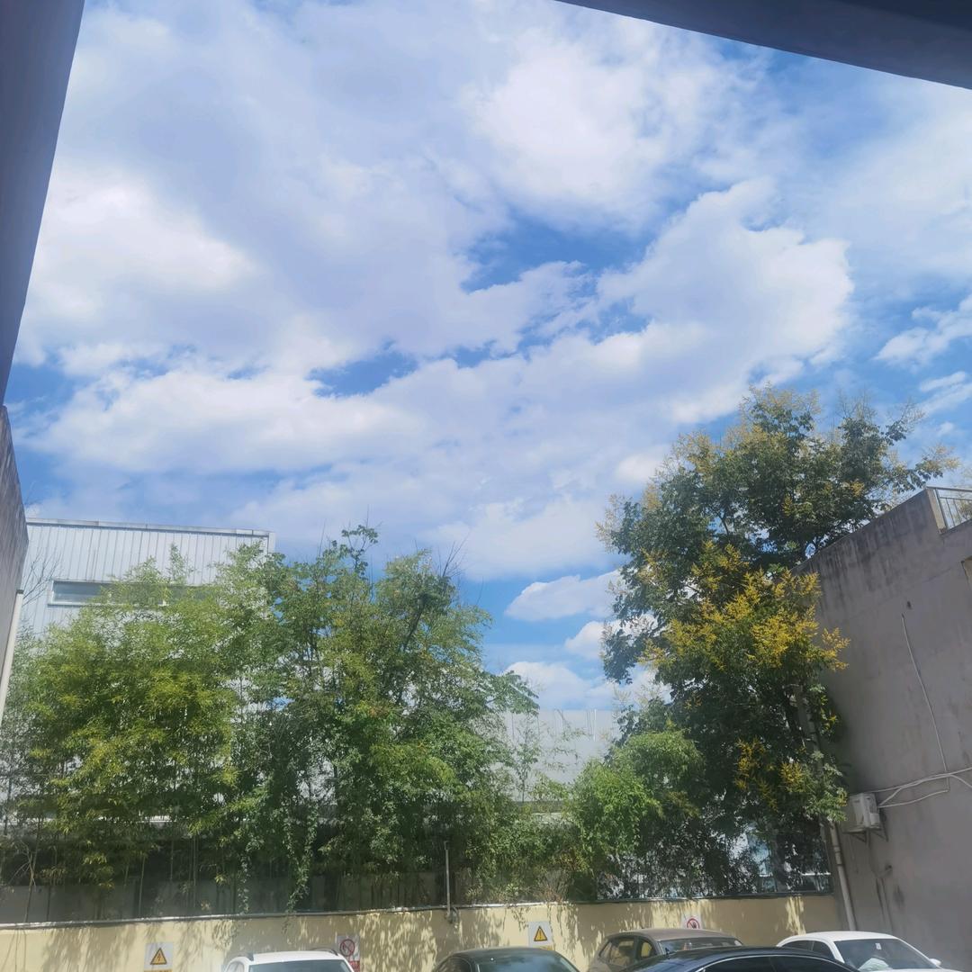 听风的蚕(读书行万里中国)