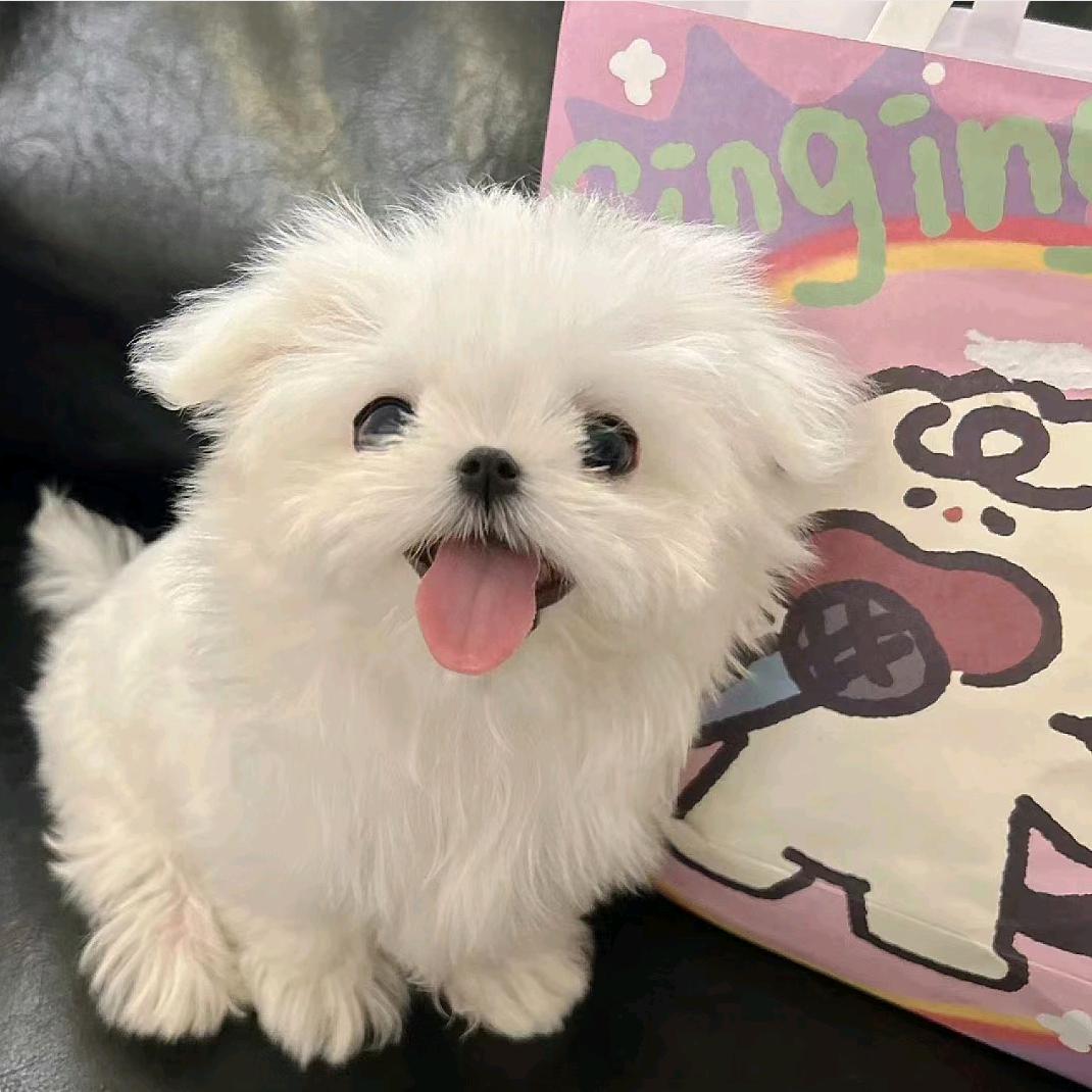 呕吼