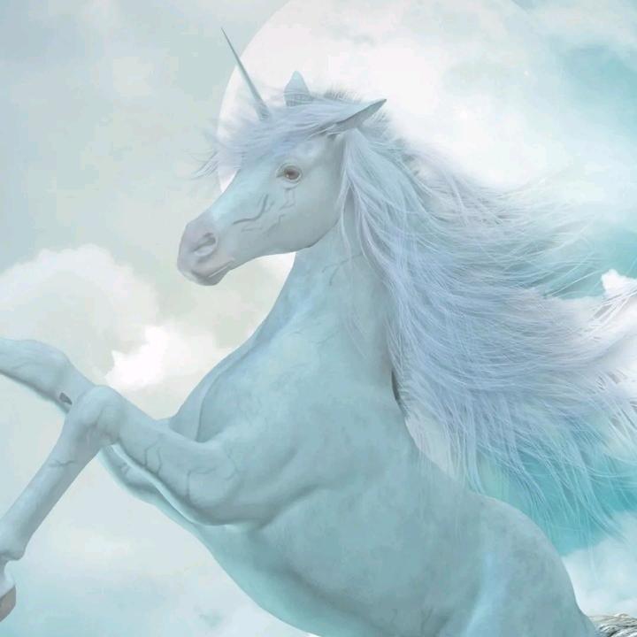 来来往往去人间