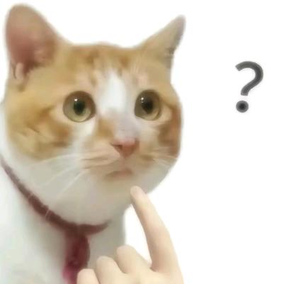 不凡的张(光崽之家小程序)