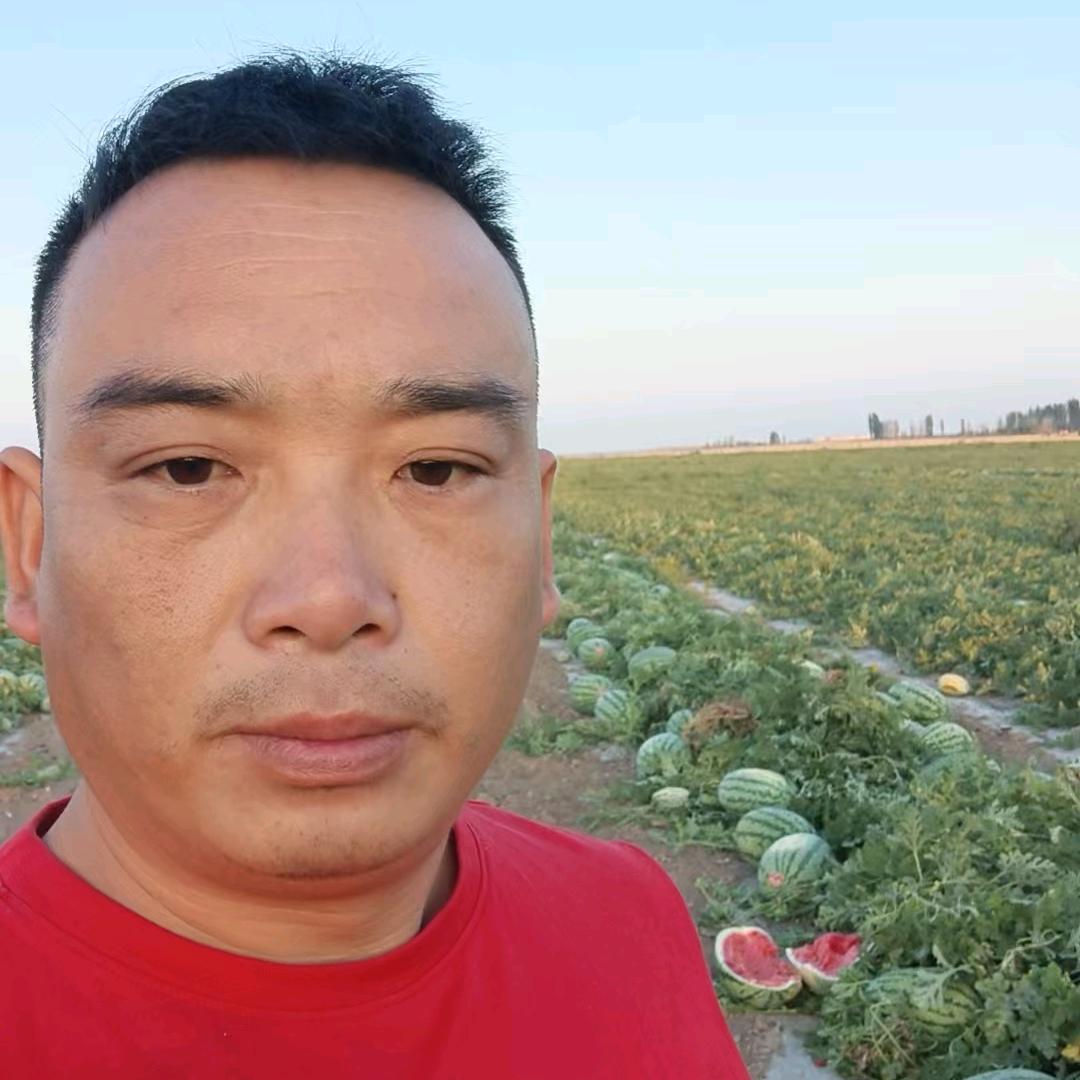 西瓜批发