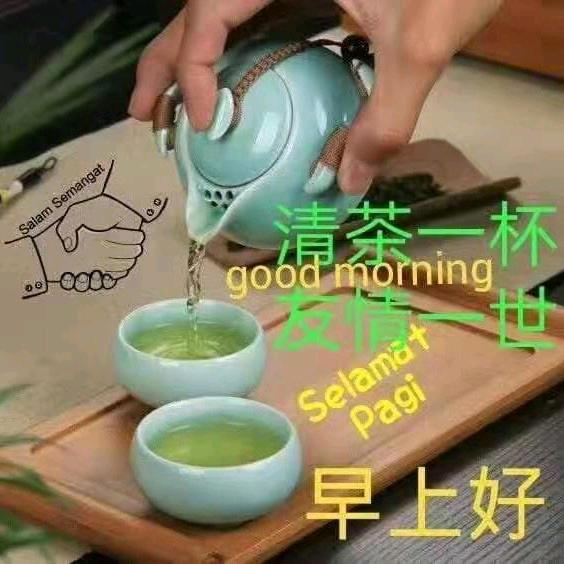 芒果🥭