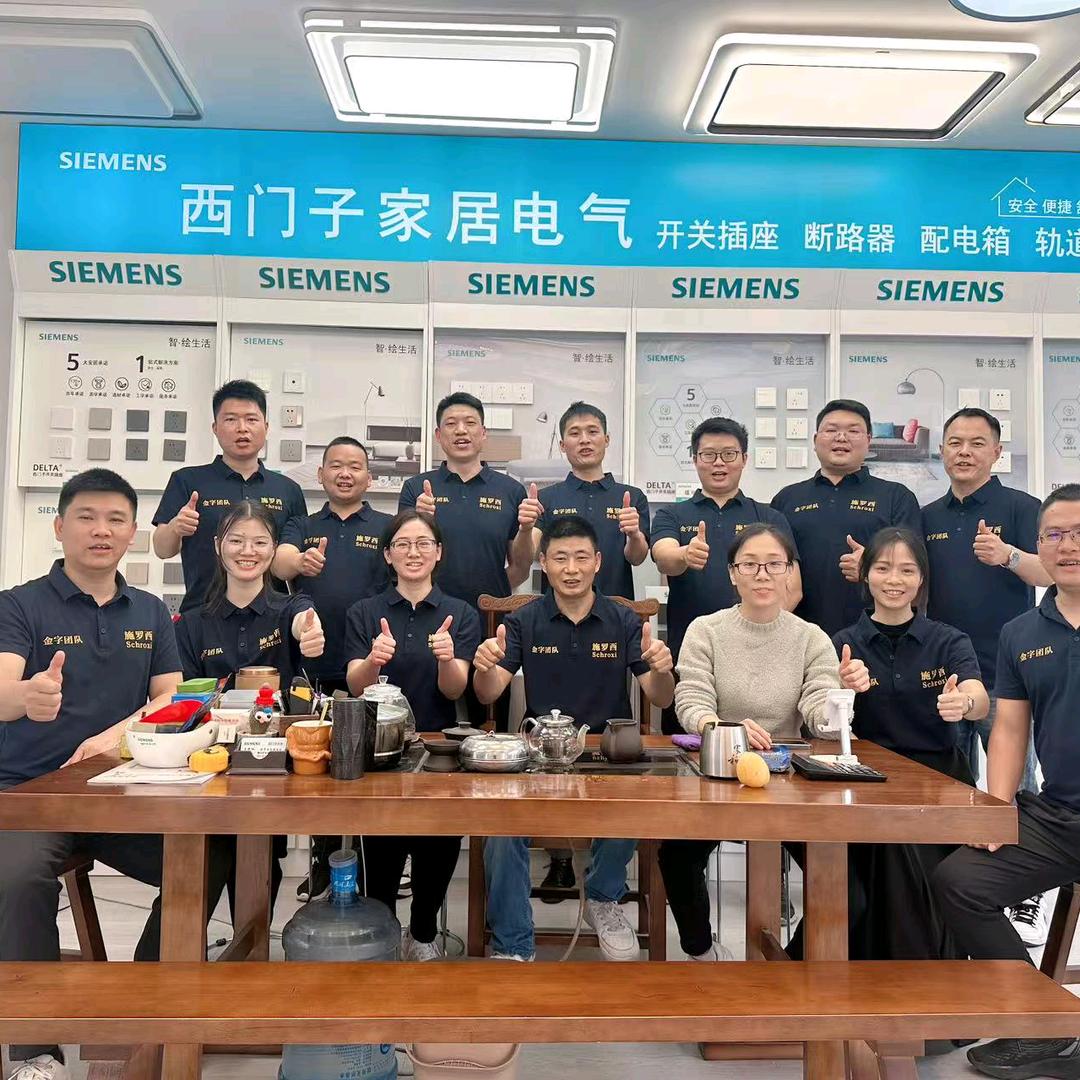 隆回西门子开关雷士照明