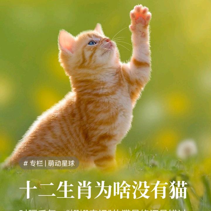 余生安好