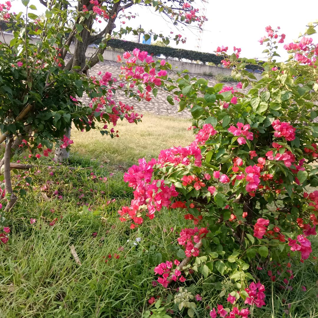 用户A