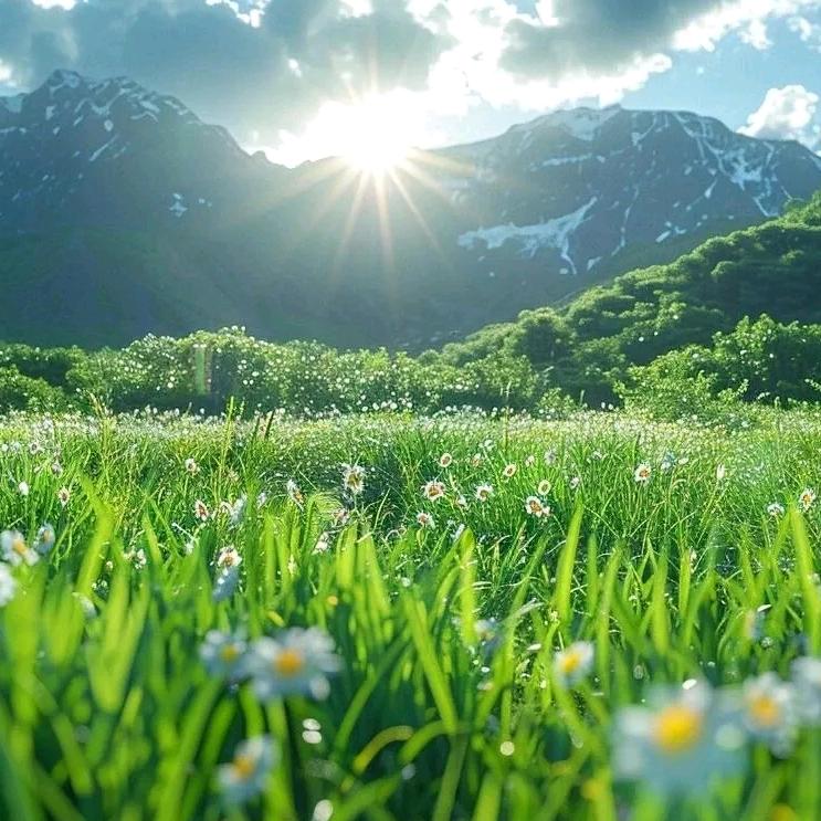 、明天依然是晴天