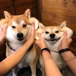 沐一