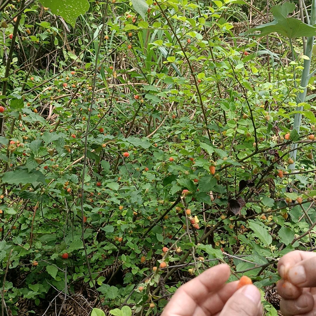 新的启程