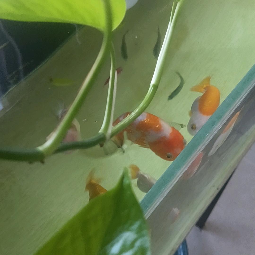 爱运动爱跑步。