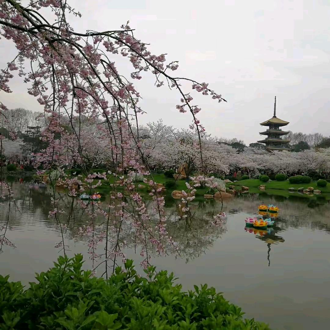 等风等雨我等你