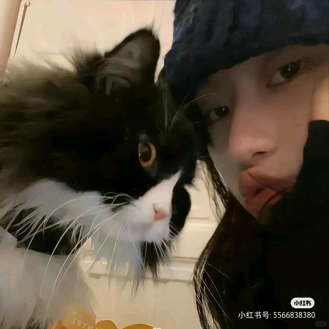 酒酿小鱼干儿🐟/
