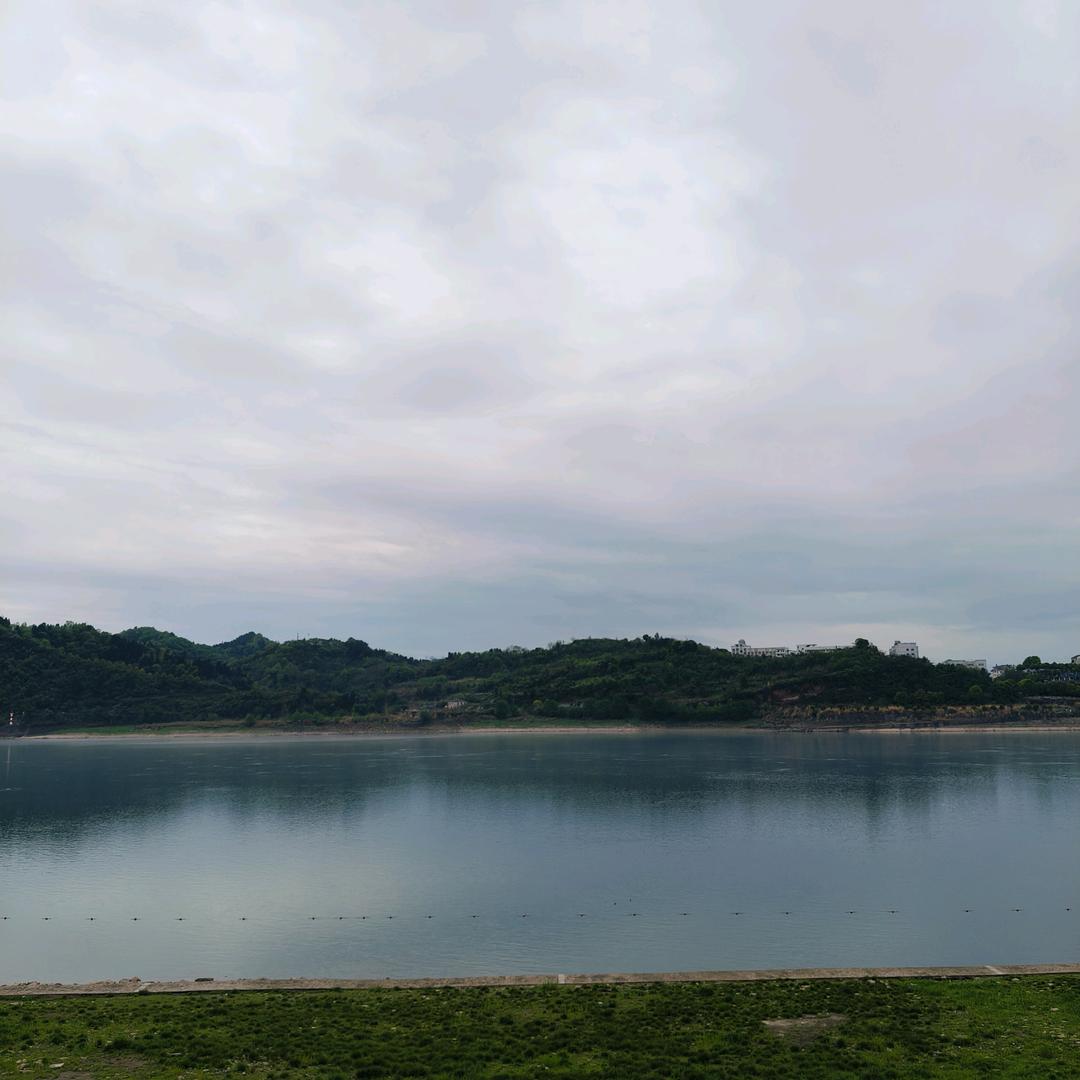 彩云栀楠