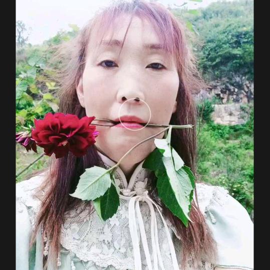 杨姐《商品橱窗》