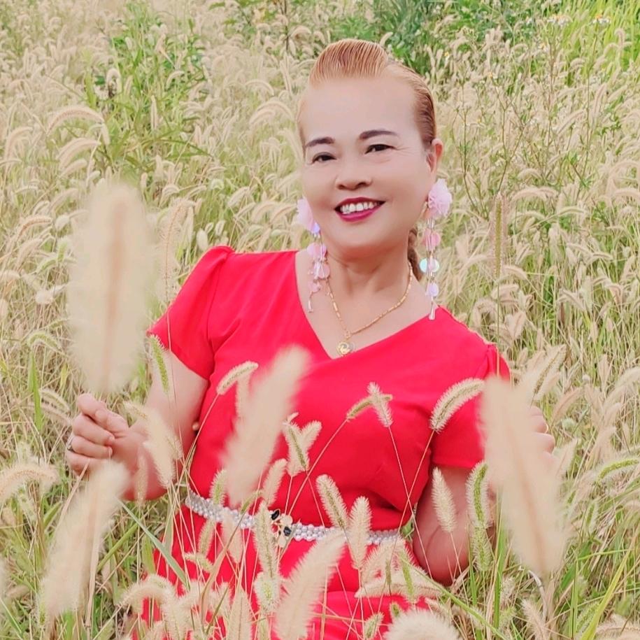 开心果😊