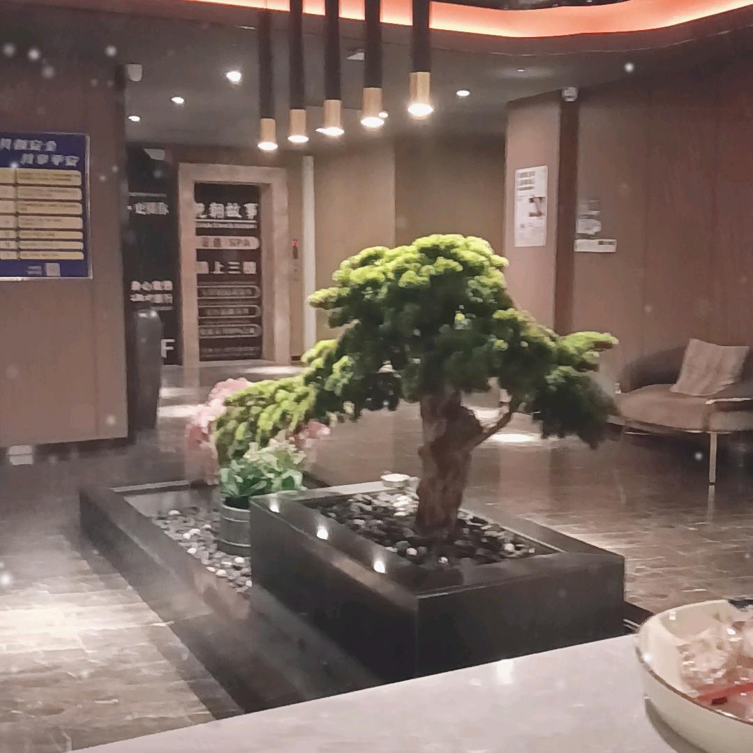 舞指仙境77