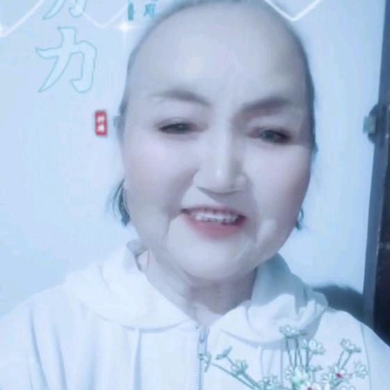 毛金花