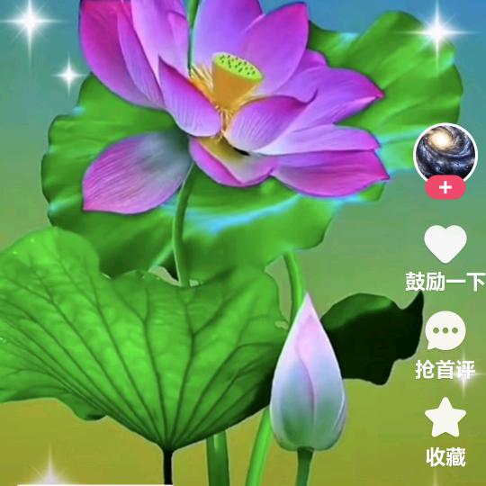 花开富贵你好