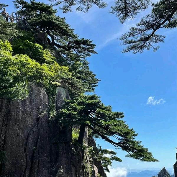 游戏人生