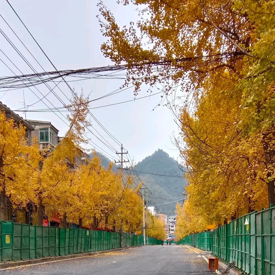 《拒绝私聊》