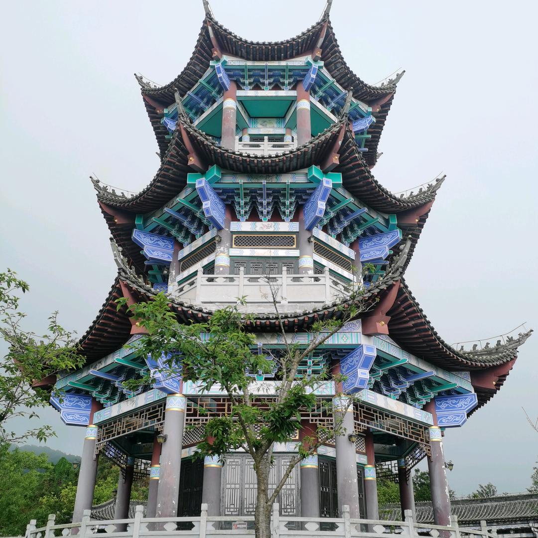 彩蓉华慧