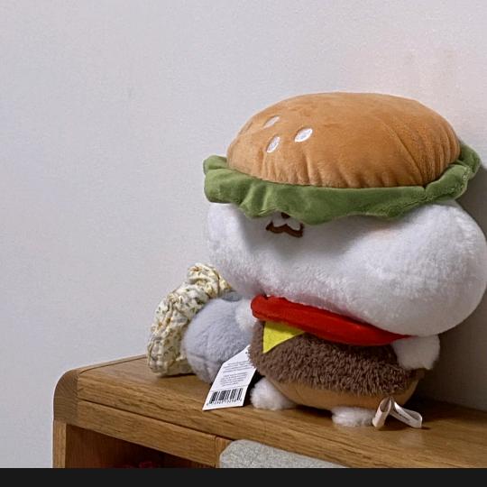 冷酷智慧的汉堡包