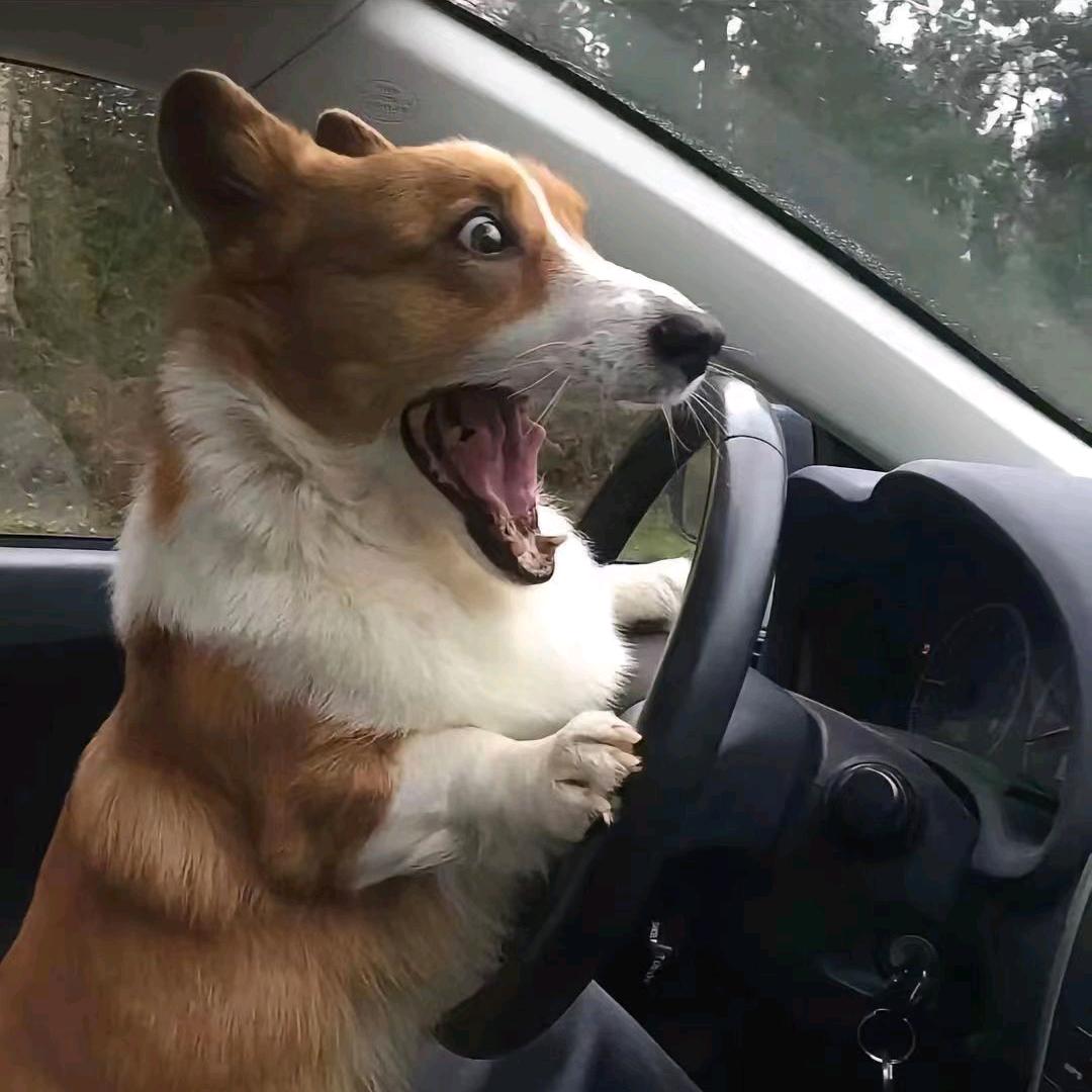 我睡觉的时候不困