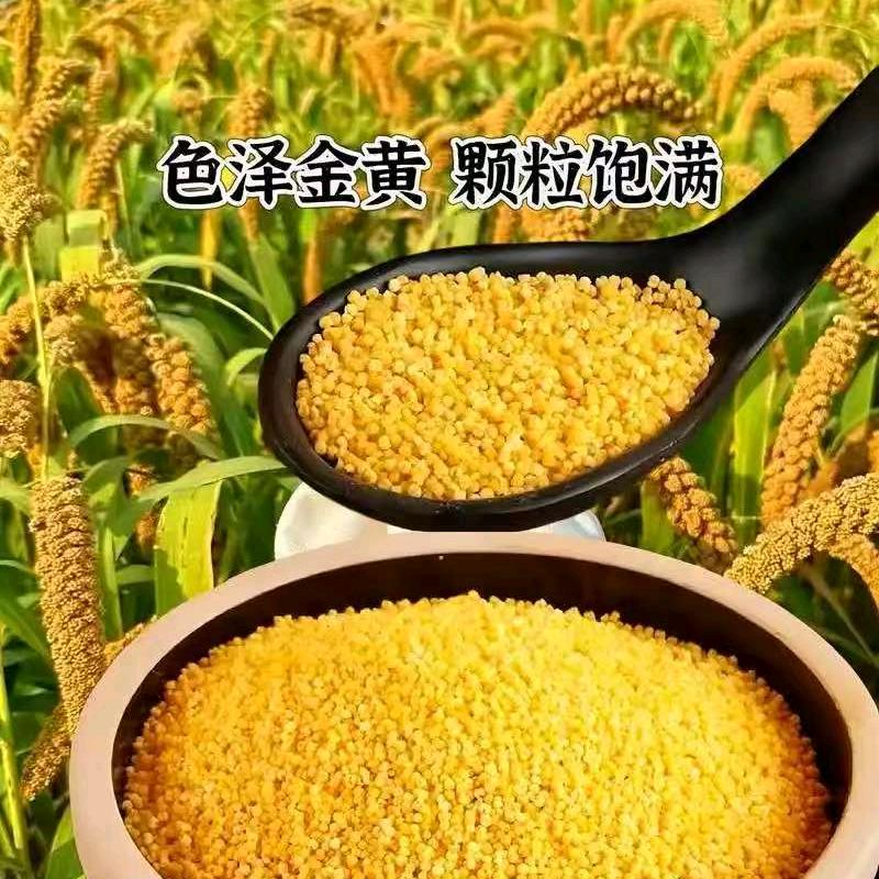 田园小筑甄选