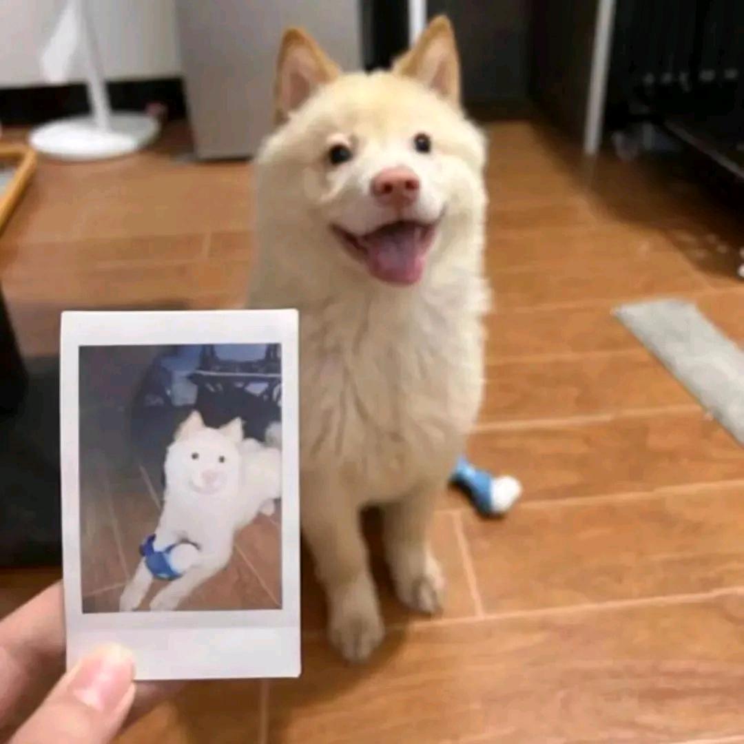 序南