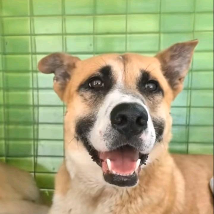 竹露荷风（只偷二娃子）