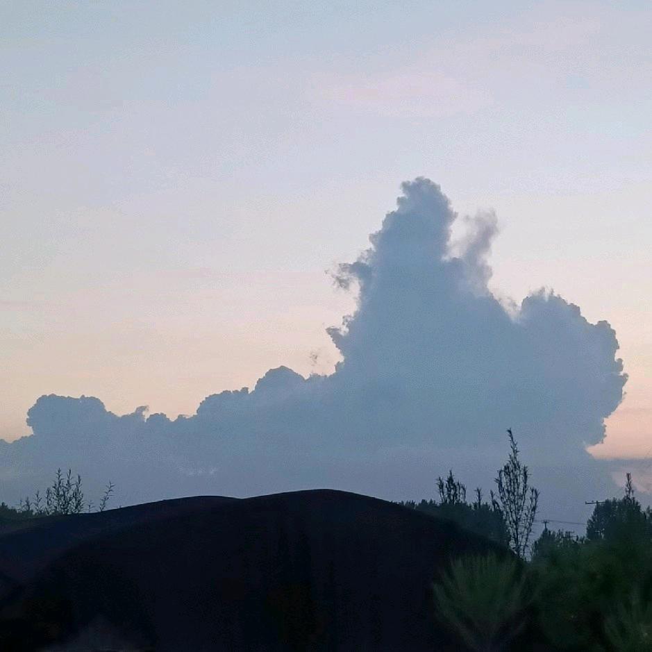 $一介╭( ′• o •′ )╭☞俗人