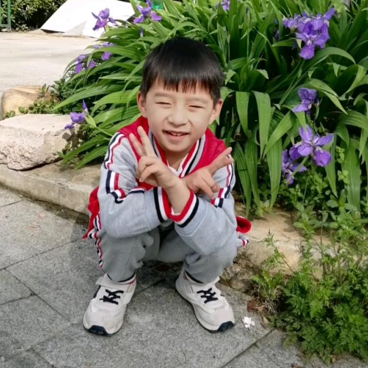 大上海