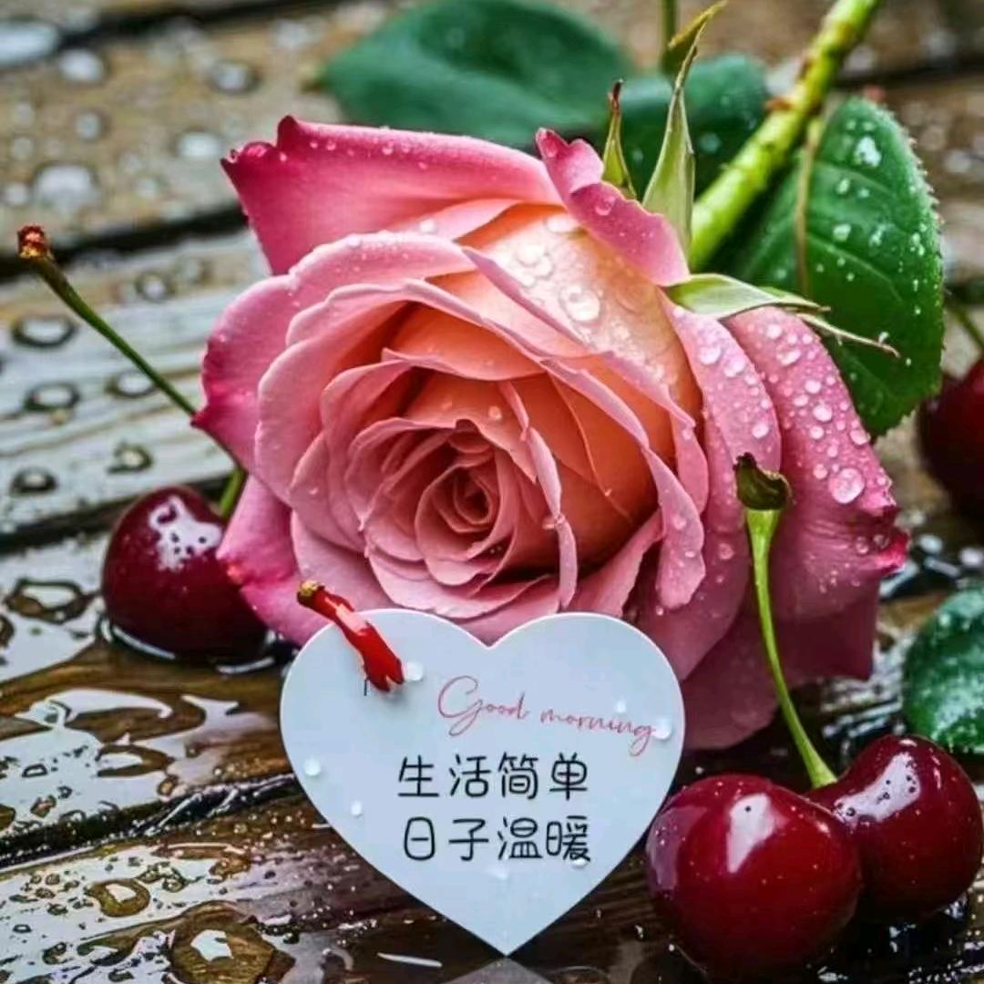 小桂花百货号