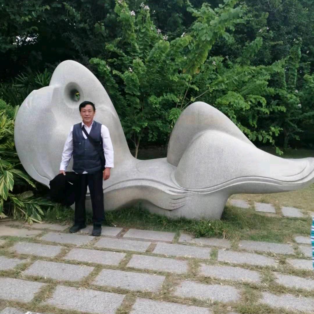 鲲鹏展翅