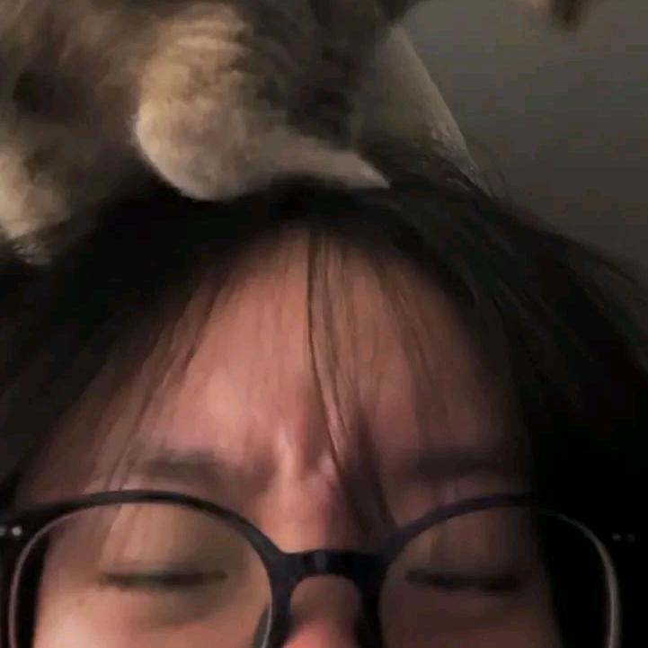Mcv黑喵✘